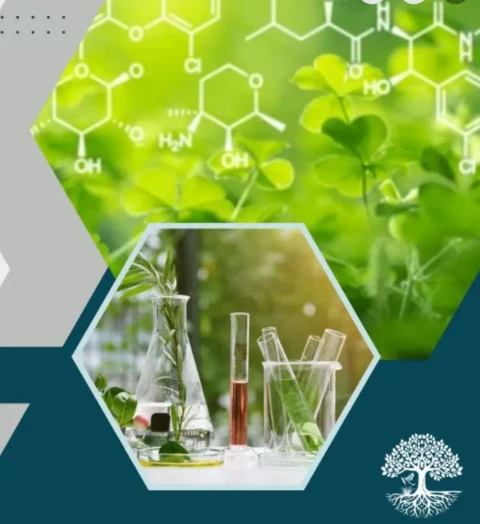 Capture d’écran 2026-02-09 094247