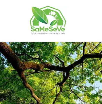 Capture d’écran 2026-02-10 120427